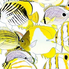 School of butterflyfish seemless 4in