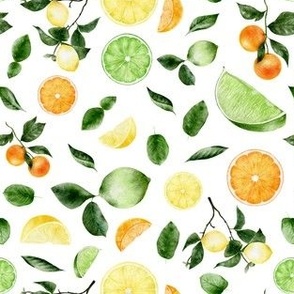 Lemon, Lime & Orange -  Citrus Pattern