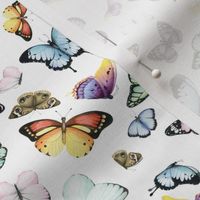 Colorful Butterfly Pattern - Ditsy Small Scale