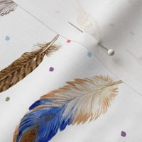 Colorful Feathers on White