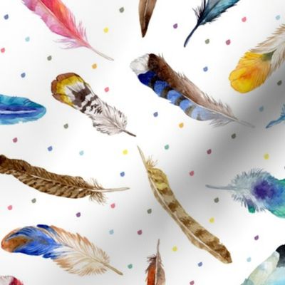 Colorful Feathers on White