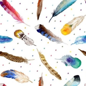Colorful Feathers on White