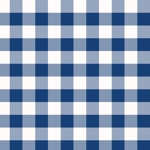 1/2 Inch Blue Buffalo Check | Half Inch Checkered Blue and White
