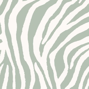 zebra stripe reversed \\ sage green - jumbo