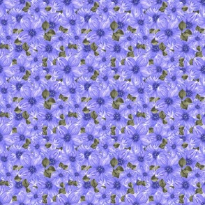 Periwinkle Flowers Small