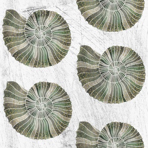 Ammonite Fossil // Gold and Sage Green  // Large
