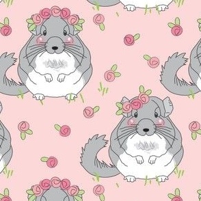 large chinchilla with roses