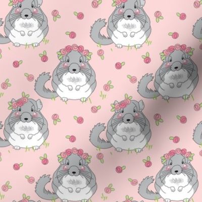 medium chinchillas with roses