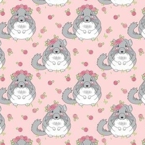 small chinchillas with roses