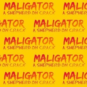 MALIGATOR ORANGE