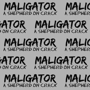 MALIGATOR GREY