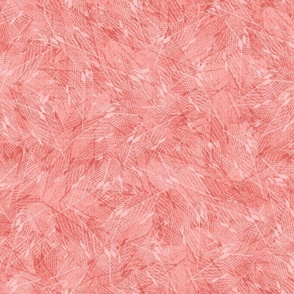leaf-feather_texture_coral-EC5E57 pink