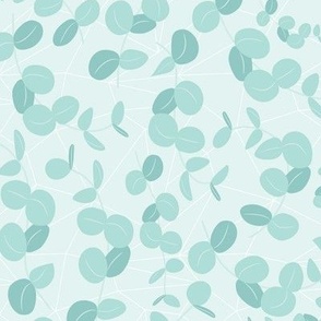 Eucalyptus Baby Blue Silver