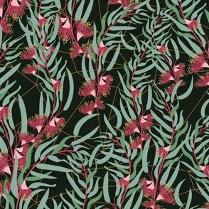 Willow Eucalyptus Leaves and Flower Dark Background