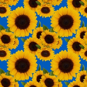 Allover Painted Sunflowers - Smaller