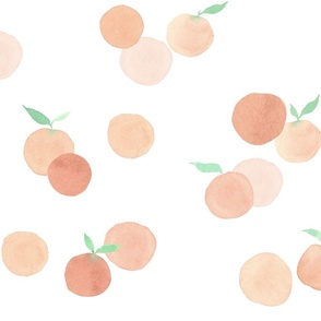 Watercolor Minimal Oranges