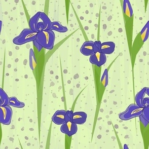 Classic Iris-Grass Green Background 