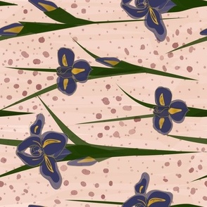 Classic Iris-Blush Background (Railroad)