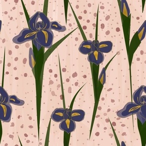 Classic Iris-Blush Background