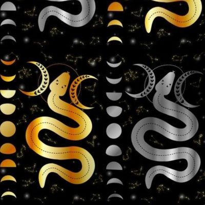 Magic snake with moon phases stars and constellations in silver and gold