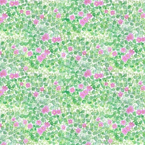 Patch of clover