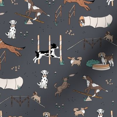 Dog agility training dogs playing kids design neutral orange green on charcoal gray