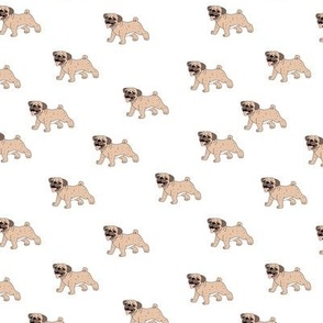the cute pug sweet dog lovers pet design on white