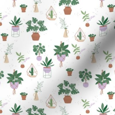 Plant lovers monstera pilea succulent and cactus home garden design spring terracotta pots and vases green mint sage lilac on white