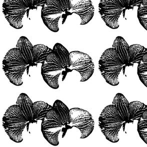 flowers_orchid_black_ink_inverse_single