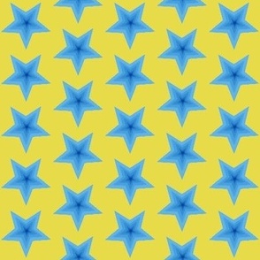 Star blue on yellow concentric