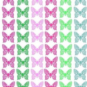 Spring Lineup of Butterfly Outlines