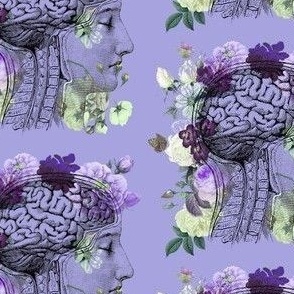 Lilac Brains