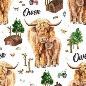 3.5" personalized highland cattle farm, Scottish cow - Owen