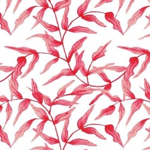 Watercolor Willow Cherry on White