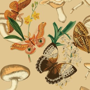 Moths & Mushrooms