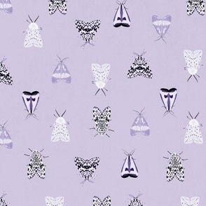 Lilac moths pattern