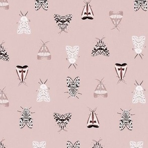 Blush pink moths 