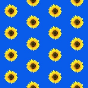 hand printed sunflower on blue