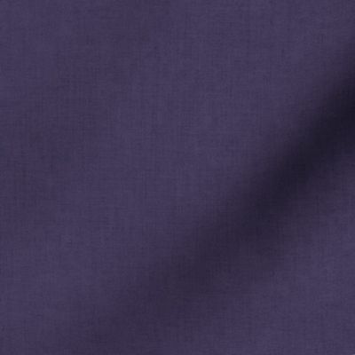 Dark Purple Textured Solid - Fanfare Coordinate