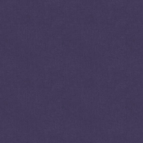 Dark Purple Textured Solid - Fanfare Coordinate