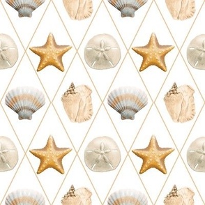 Coastal Starfish and Seashells