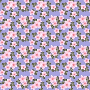 Sakura - Petal Coordinates