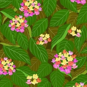 Wild Lantana green