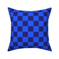 Blue Raspberry Classic Checkered Print, Ocean Blue on Sky Blue