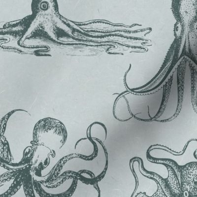 VINTAGE OCTOPUS - DEEP OCEAN TEAL ON DUSTY BLUE MULBERRY PAPER