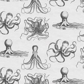 VINTAGE OCTOPUS - SEA MUD GRAY ON AGED OFF-WHITE PAPER