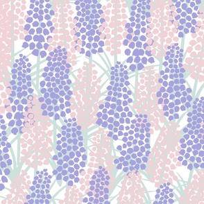 Grape Hyacinths