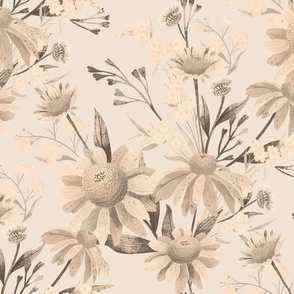 Jumbo Coneflower Floral Pastel Nude