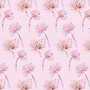 Dancing Dandelions in pinks