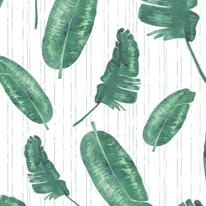 Banana Leaves